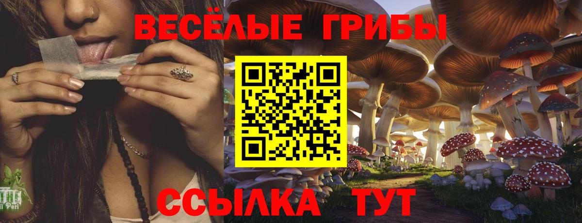 Отрадный  Псилоцибиновые грибы ЛСД  Вход с VPN 